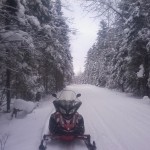 Amazing Snow on Trees